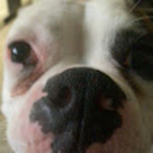 Meet your Posher, Romulo